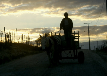 Imagem do Sertão – foto – Raimundo Mascarenhas