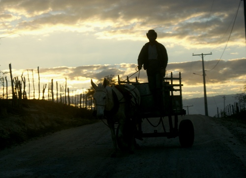 Imagem do Sertão – foto – Raimundo Mascarenhas
