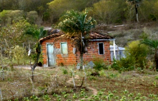 Conceição do Coité II – Homem é encontrado morto por enforcamento na região de Aroeira