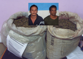 Dupla é presa com 20 kg de maconha em Serrinha