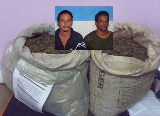 Dupla é presa com 20 kg de maconha em Serrinha