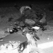 Acidentes na BR-116 Norte deixam um ferido e uma vítima fatal
