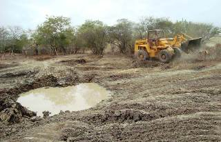 Quixabeira sofre com a falta d’água