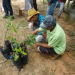 Curso de Agroecologia é ministrado em assentamento em Canudos