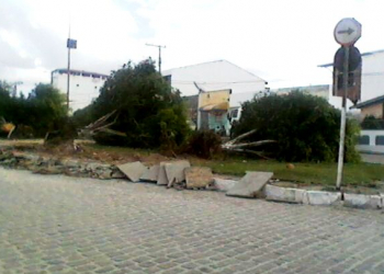 Prefeitura de Coité derruba seis árvores para construção de praça