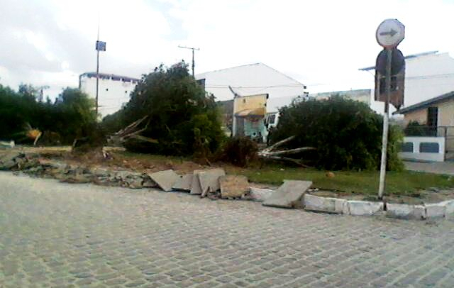 Prefeitura de Coité derruba seis árvores para construção de praça
