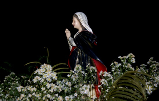 Coité: confira a programação da festa da padroeira