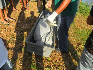 Mais um morto por afogamento