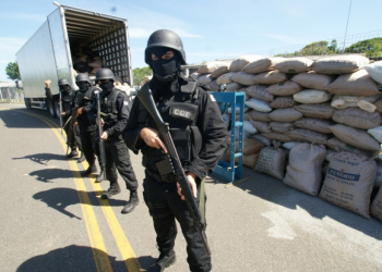 Policia baiana apreende mais de 16 toneladas de maconha