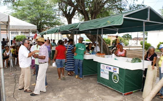 Riachão do Jacuípe – Sindicato dos Trabalhadores Rurais promoveu a 3ª feira da agricultura familiar