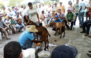 Riachão do Jacuípe – Sindicato dos Trabalhadores Rurais promoveu a 3ª feira da agricultura familiar