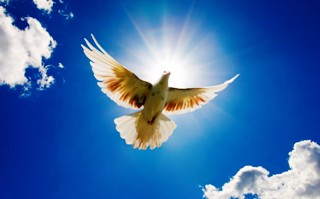 4ª Caminhada da Paz acontece neste domingo em Conceição do Jacuipe