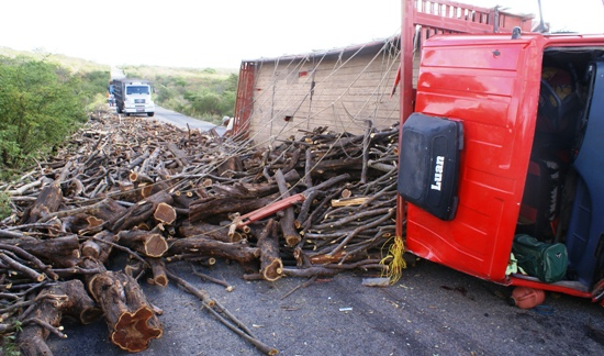 Caminhão carregado de lenha tomba na BA 120 e deixa pista parcialmente obstruída