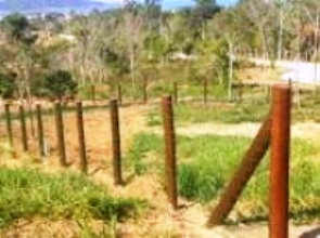 Fazendeiros sofrem com furto de fios de arame que cercam suas propriedades