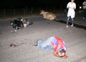 Dois homens ficam feridos depois de moto bater numa vaca na estrada Riachão do Jacuípe / Serra Preta