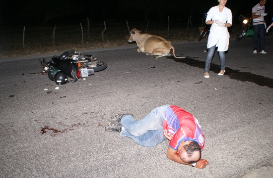 Dois homens ficam feridos depois de moto bater numa vaca na estrada Riachão do Jacuípe / Serra Preta