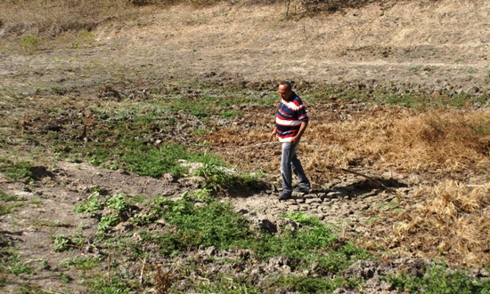 Coité – Internautas identificam necessidade de limpar o tanque da Gangorra e Urbano reconhece a força da agricultura familiar da região