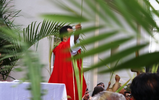Procissão e missa de ramos abrem semana santa – Veja a programação