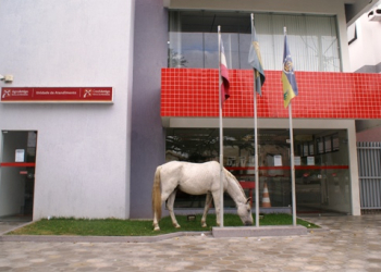 Flagrante: cavalo aproveita o pouco verde que resta para saciar a fome no centro de Coité
