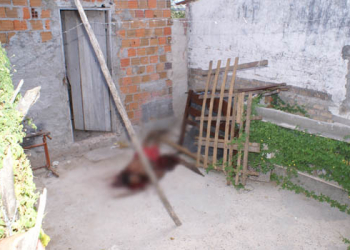 Homem é morto a cacetadas no Bairro da Mansão em Coité