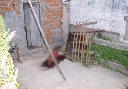 Homem é morto a cacetadas no Bairro da Mansão em Coité