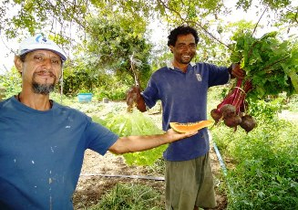 Assentamento agroecológico entrega produtos para merenda escolar de Queimadas apesar da seca