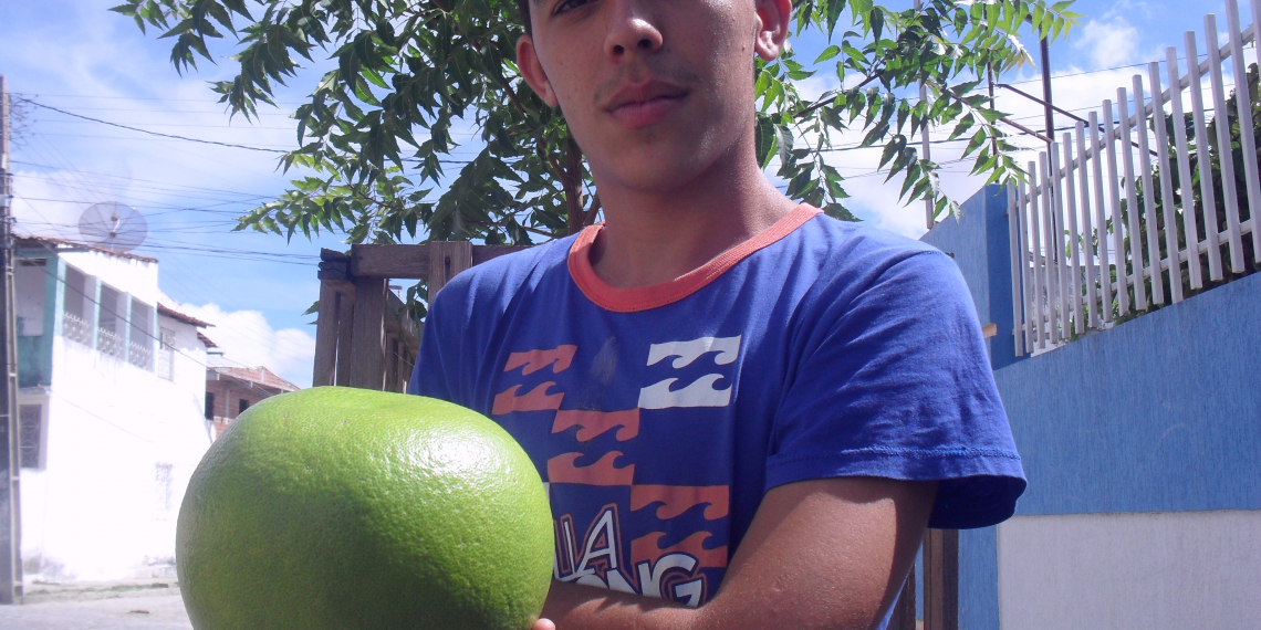 Jovem colhe laranja de 1,5kg na zona rural de Coité