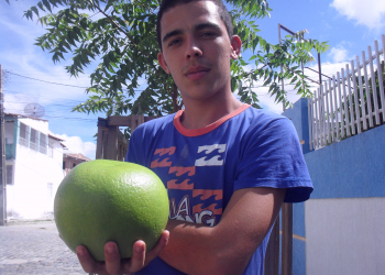 Jovem colhe laranja de 1,5kg na zona rural de Coité