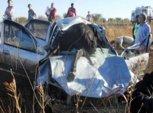 Milagre: casal se livra da morte ao atropelar três cavalos em Ibititá