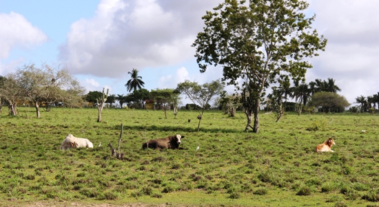 fazenda balagão