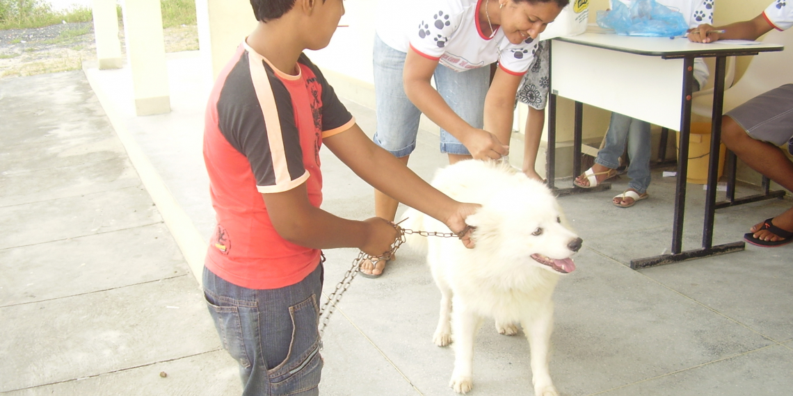 Começa a Campanha de Vacinação Anti- Rábica 2012