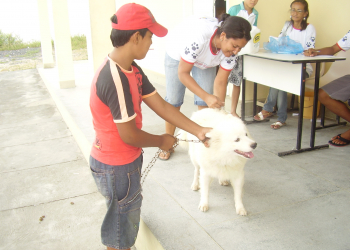 Começa a Campanha de Vacinação Anti- Rábica 2012