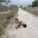 Corpo de homem é encontrado crivado de balas em estrada vicinal de Serrinha