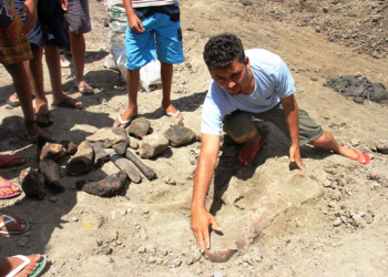 Santaluz: moradores de Lagoa Escura encontram ossadas que podem ser de animais pré-históricos