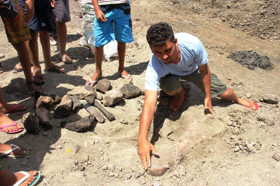Santaluz: moradores de Lagoa Escura encontram ossadas que podem ser de animais pré-históricos