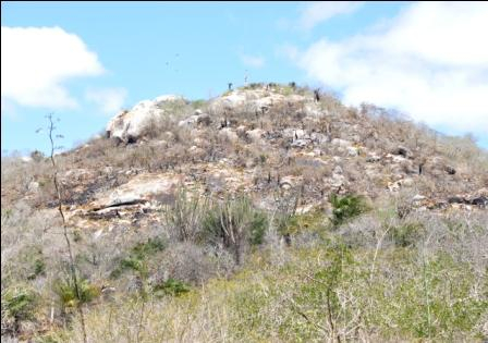 Incêndio em serra não causou prejuízos, diz assessoria da Prefeitura