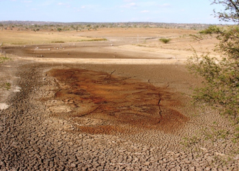 Coité – Sindicato luta por recursos para limpar outros dois importantes açudes do município