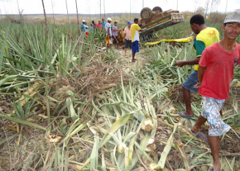 Caminhonete capota na zona rural de Araci, mata duas pessoas e deixa dez feridas
