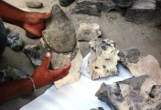 Adolescente de 13 anos encontra ossada que acredita ser de animal pré-histórico