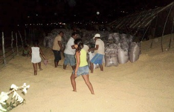 Carreta com carga de soja tomba em Monte Santo