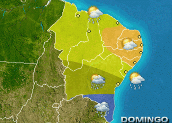Bastou uma chuva para “encher” os agricultores de esperança e certeza do fim do sofrimento