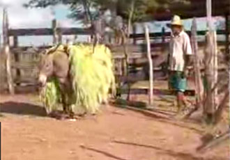 Filme Faces da Negritude do Sisal em cartaz na cidade de Araci