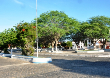 Município terá Plano de Arborização e Poda Urbana