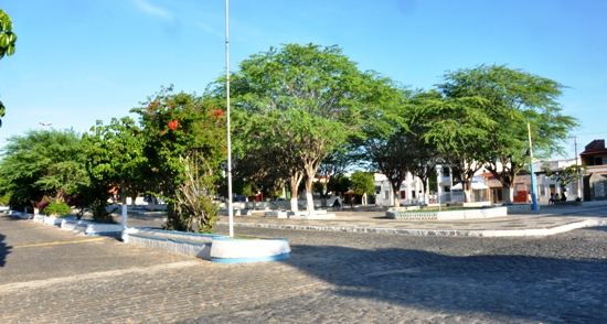 Município terá Plano de Arborização e Poda Urbana