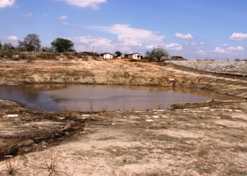 Bastou uma chuva para “encher” os agricultores de esperança e certeza do fim do sofrimento
