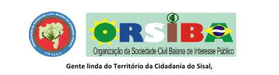 LOGO - ORSIBA
