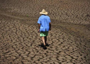 Agricultores baianos estão sofrendo com a seca