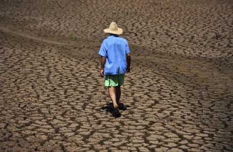 Agricultores baianos estão sofrendo com a seca