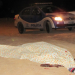 Homem é morto a golpes de foice
