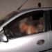 Homem é executado dentro de carro na cidade de Serrinha
